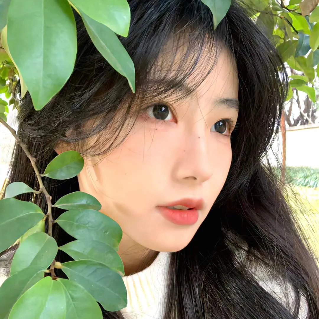 亲爱的男丁格尔